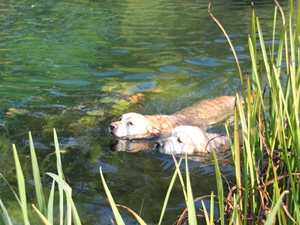 Leo und Lucky